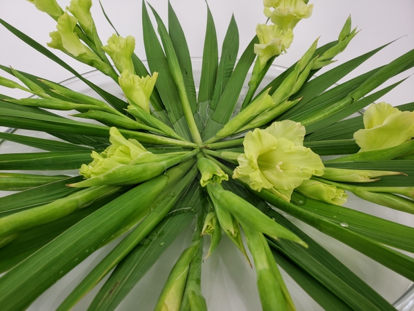 Cut spiked flower stems shorter Cut spiked flower stems shorter