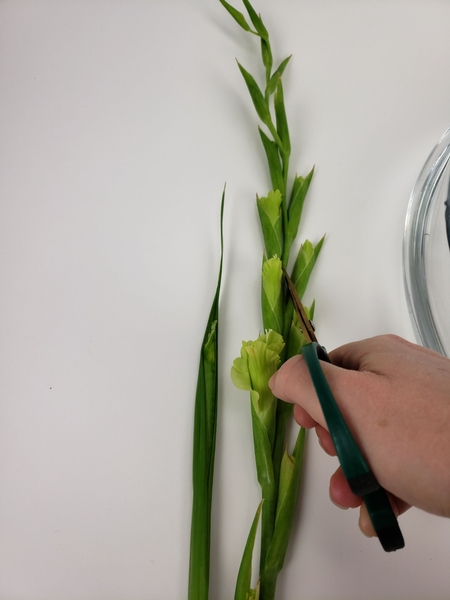 Cut the flower shorter by cutting the stem to follow the line where the flower grows Cut the flower shorter by cutting the stem to follow the line where the flower grows
