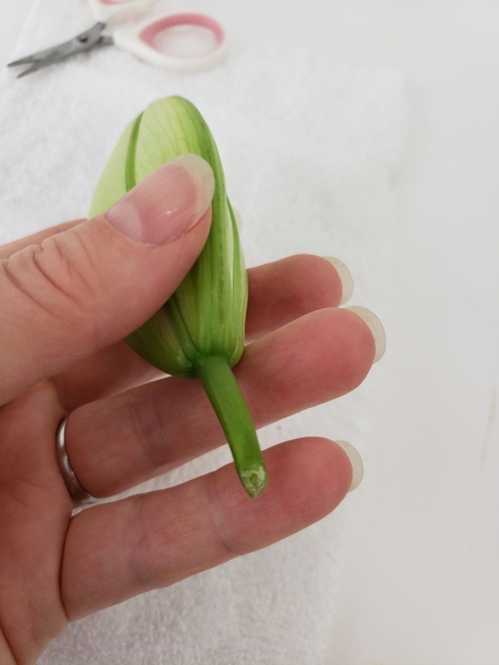 Cut the stem short and seal the wound with a small drop of flower glue Cut the stem short and seal the wound with a small drop of flower glue
