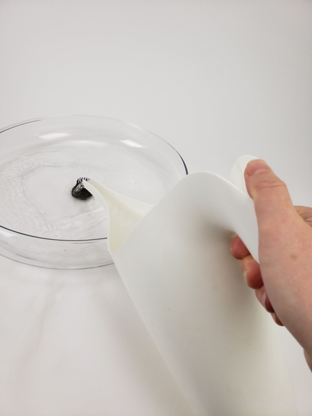 Fill the container with water Fill the container with water