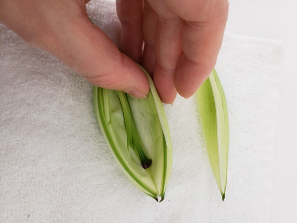 Fold the petals in to create a cavity in the bud Fold the petals in to create a cavity in the bud