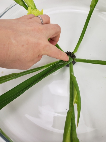 Gently press the foliage to catch on the teeth of the Kenzan Gently press the foliage to catch on the teeth of the Kenzan