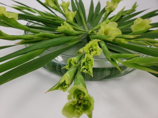 Gladiolus flower spikes in a foam free design Gladiolus flower spikes in a foam free design