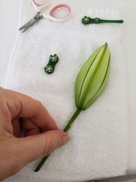 Inspect the bud to find the perfect petal to cut away Inspect the bud to find the perfect petal to cut away