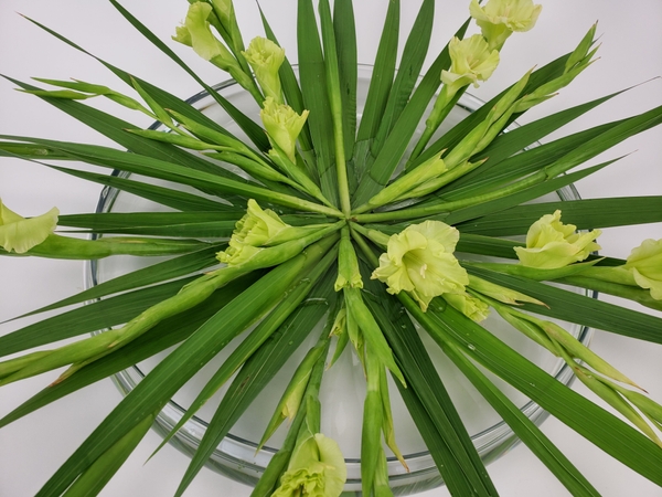 Lime green Gladiolus flower spikes floral design for summer Lime green Gladiolus flower spikes floral design for summer
