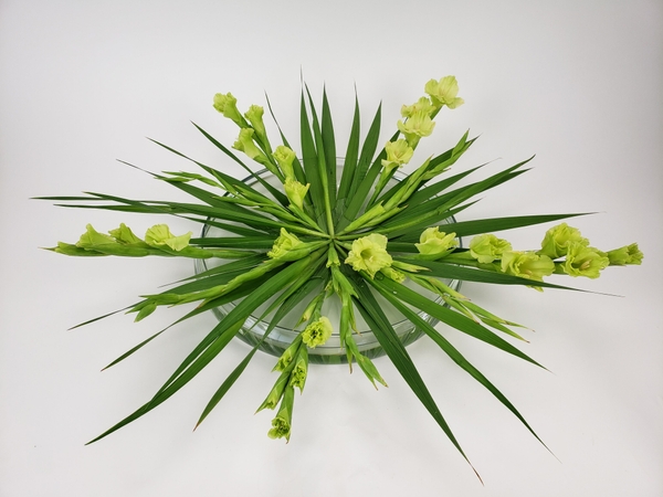 Point Out this is a single bunch of gladiolus floral art design Point Out this is a single bunch of gladiolus floral art design