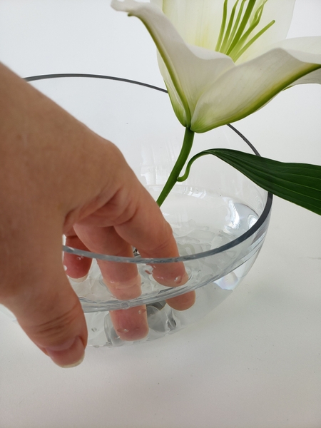 Fill the container with water Fill the container with water