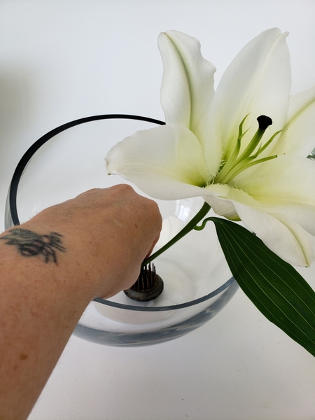 Press a lily stem to stand upright in the Pin cushion Press a lily stem to stand upright in the Pin cushion