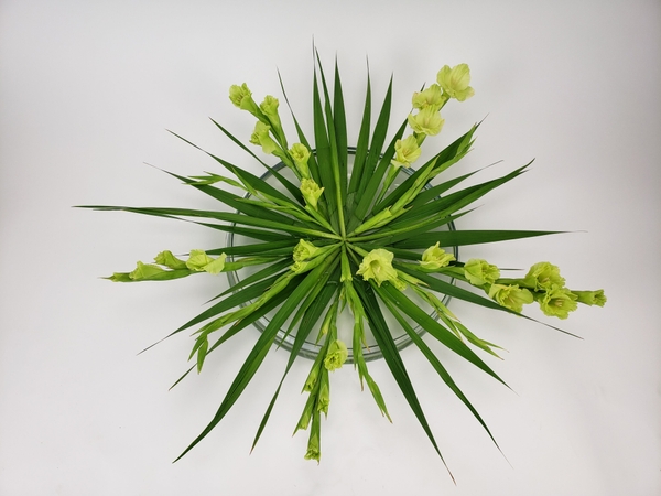 Radiating Gladiolus flower arrangement Radiating Gladiolus flower arrangement