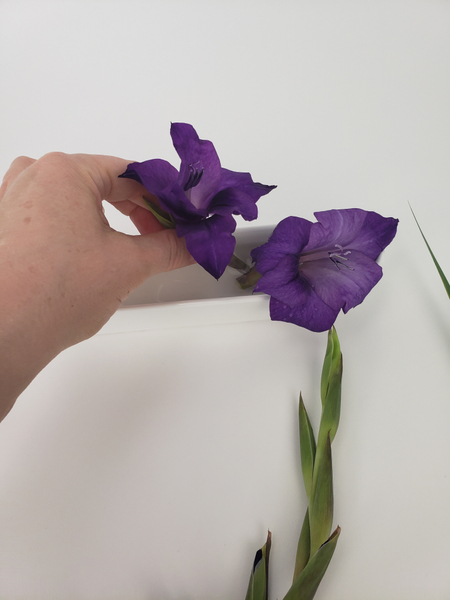 Removing the gladiolus bloom with a tiny section of stem.