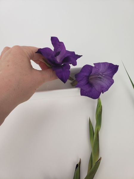 Removing the gladiolus bloom with a tiny section of stem. Removing the gladiolus bloom with a tiny section of stem.