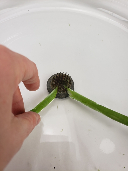 Slip the stems in through the teeth of the Kenzan so that the flowers rest on the edge of the container Slip the stems in through the teeth of the Kenzan so that the flowers rest on the edge of the container