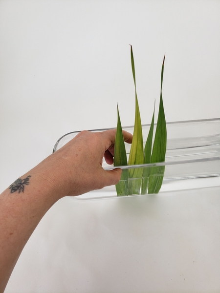 Space the leaves to settle all the way around the container Space the leaves to settle all the way around the container