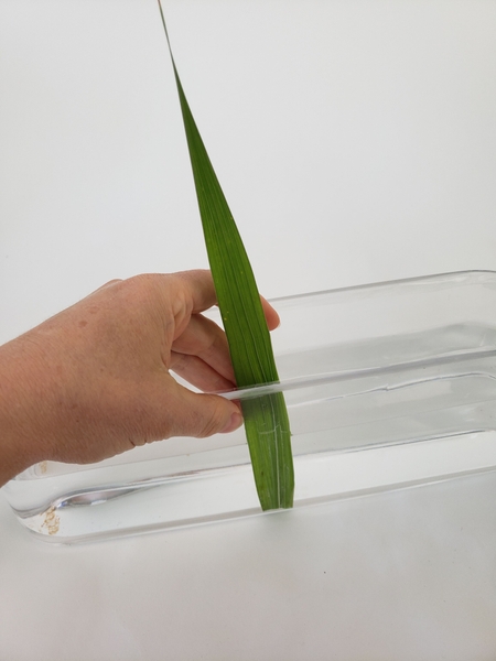 Stand the grass or foliage in the water Stand the grass or foliage in the water