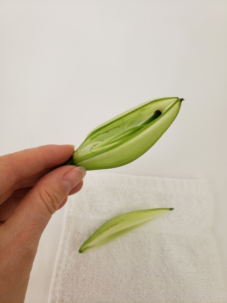 The hollow flower bud is now ready to design with The hollow flower bud is now ready to design with
