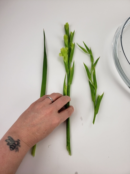 You now have three shorter stems to design with You now have three shorter stems to design with