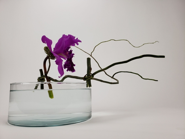 Christine de Beer original and unique flower arranging techniques Christine de Beer original and unique flower arranging techniques