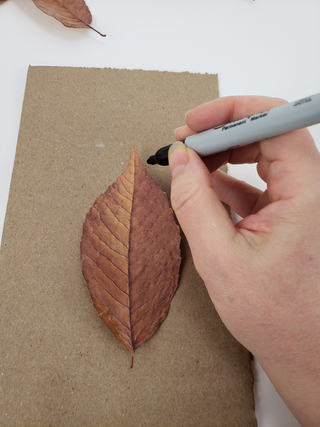 Draw the outline of the leaf on cardboard or paper to use as a template