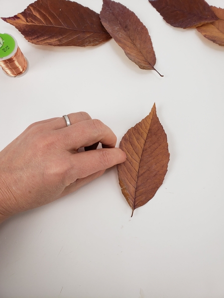 Gather a perfectly shaped autumn leaf Gather a perfectly shaped autumn leaf