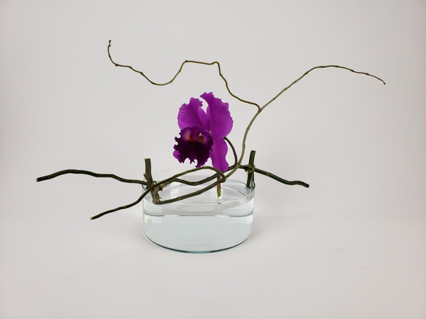 How to create a soft minimalistic flower arrangement How to create a soft minimalistic flower arrangement