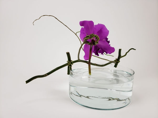 How to weave a tiny wreath to keep your flower in place in a floral design How to weave a tiny wreath to keep your flower in place in a floral design