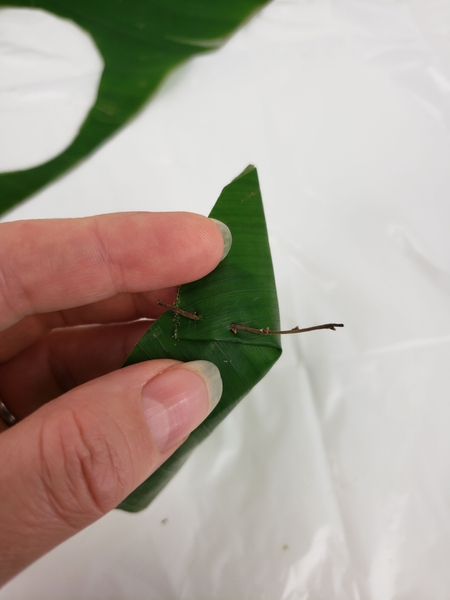 Pin the leaf with a twig Pin the leaf with a twig