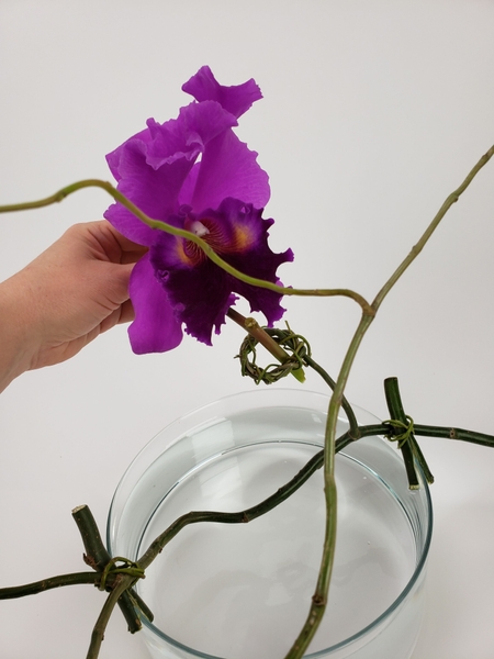 Slip the Cattleya orchid through the wreath Slip the Cattleya orchid through the wreath