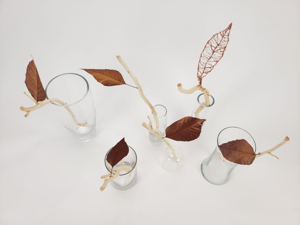 Soft minimalist way of displaying autumn leaves Soft minimalist way of displaying autumn leaves