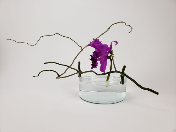 Sustainable flower mechanics without floral foam Sustainable flower mechanics without floral foam
