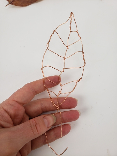 This is the basic skeleton of the leaf This is the basic skeleton of the leaf