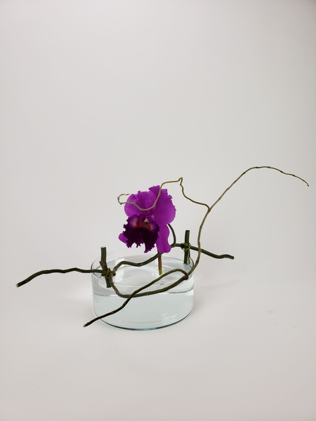 Transition into Fall floral art design Transition into Fall floral art design