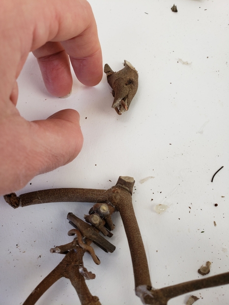 Add tiny twig thangs Add tiny twig thangs