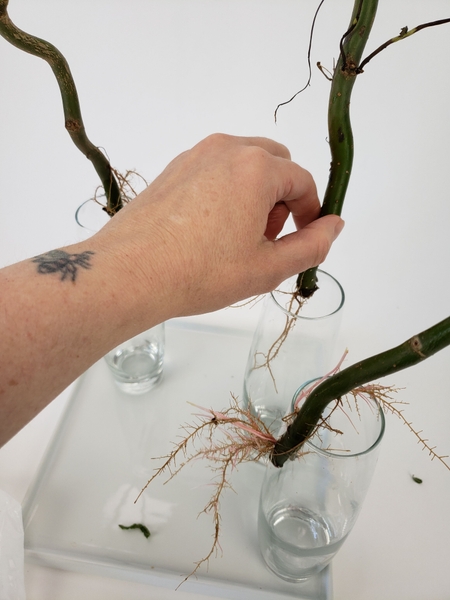 Add two more branches Add two more branches