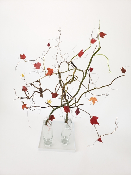 Arrange twigs to create an easy floating Halloween design