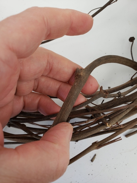 Carefully inspect a vine wreath Carefully inspect a vine wreath