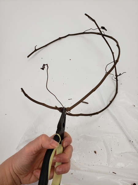 Connect two of the vines with wire Connect two of the vines with wire