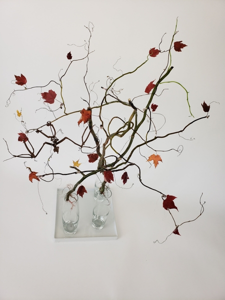 Craft with nature for halloween Craft with nature for halloween