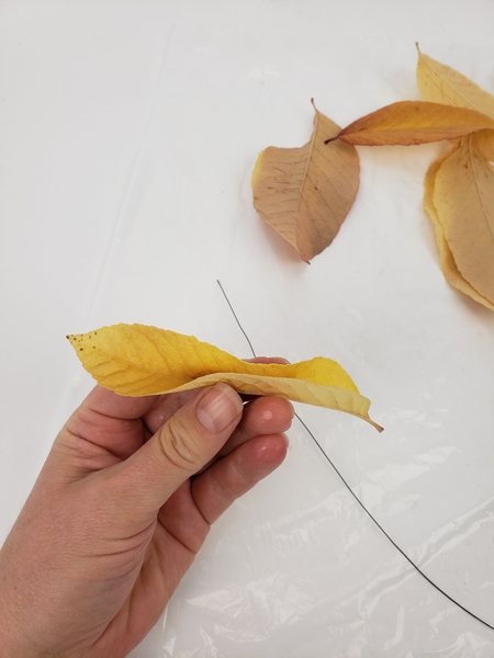 Fold the autumn leaf Fold the autumn leaf
