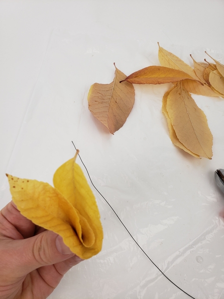 Fold the leaf again Fold the leaf again