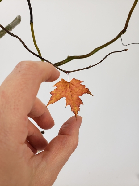 Glue in dried autumn leaves Glue in dried autumn leaves