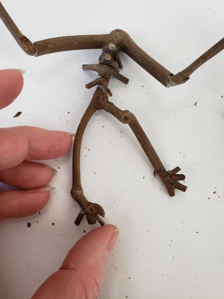 Glue in twigs for feet Glue in twigs for feet