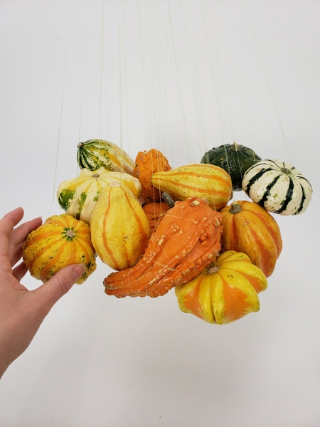 Hang all the pumpkins in a cluster Hang all the pumpkins in a cluster
