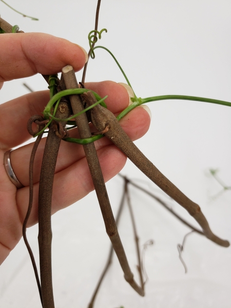 I will be weaving the vine in a simple under over and under pattern I will be weaving the vine in a simple under over and under pattern