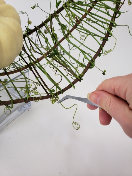 Manipulate the vines with tweezers into position Manipulate the vines with tweezers into position