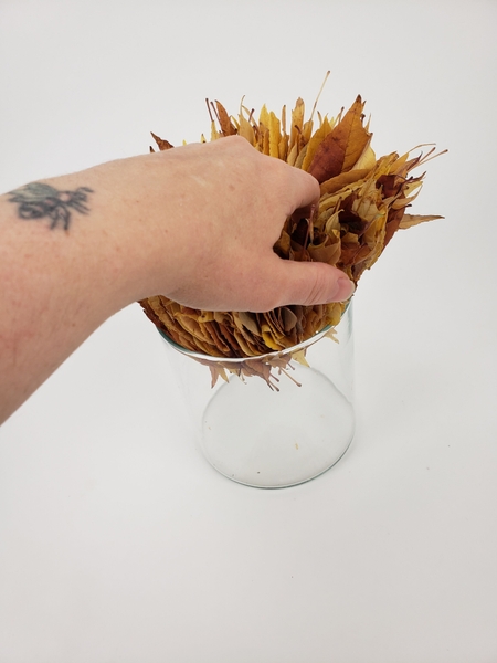 Place the leaf tube in a glass container Place the leaf tube in a glass container