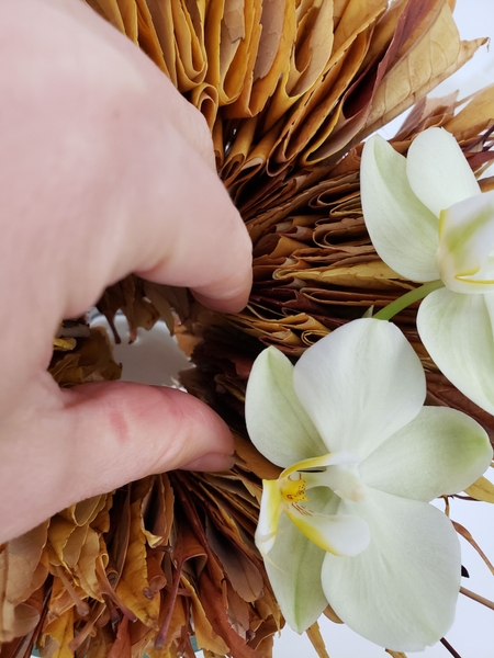 Position the orchids so that the stem end is in the water Position the orchids so that the stem end is in the water