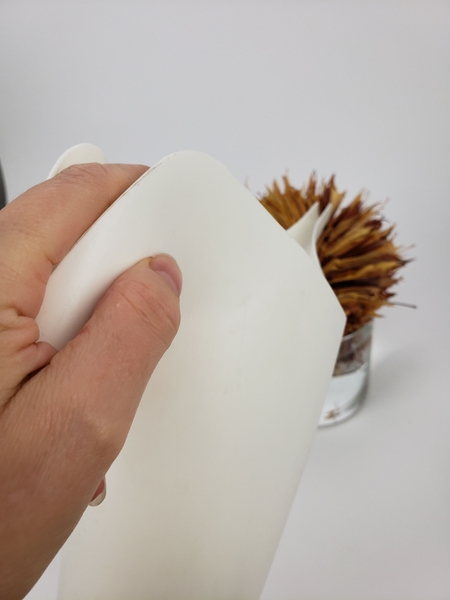 Pour water into the container through the hole in the middle of the leaves