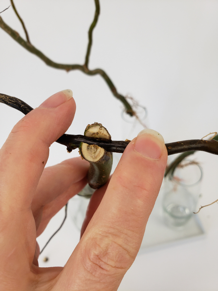 Press the twig into the branch slit to secure