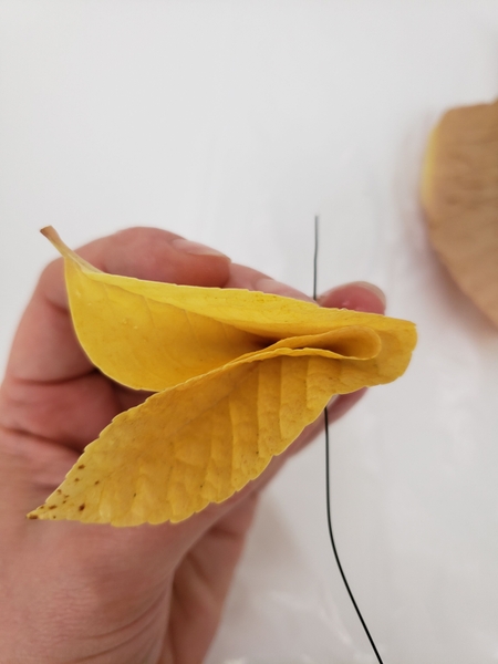 Skewer the leaf with the wire Skewer the leaf with the wire