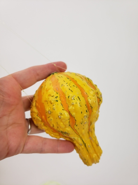 Slip the pointed side of the pumpkin so that it splits open the section in the middle of the knots Slip the pointed side of the pumpkin so that it splits open the section in the middle of the knots